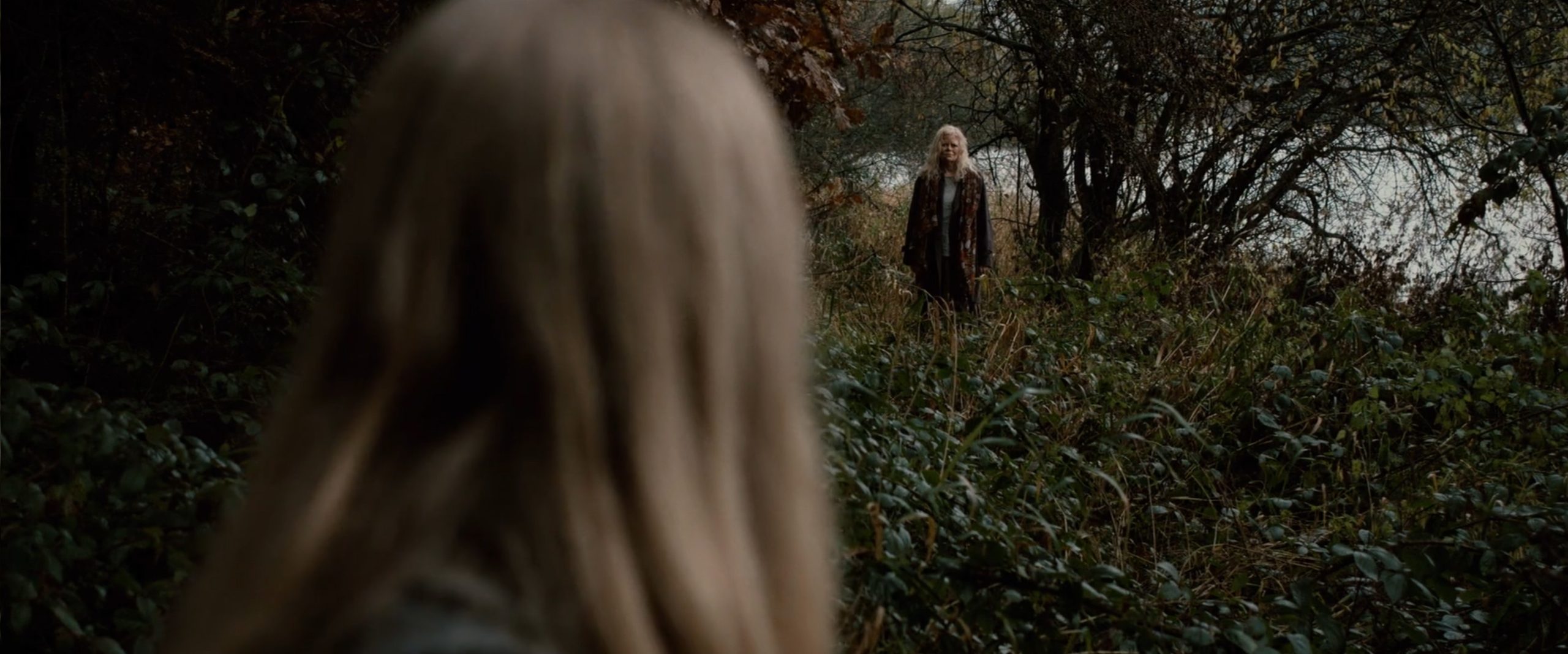 The Stranger hero still